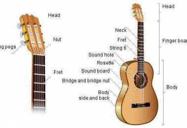 Tìm hiểu về cấu tạo đàn Guitar