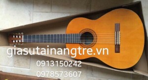 Dạy kèm đàn Guitar tại quận Phú Nhuận
